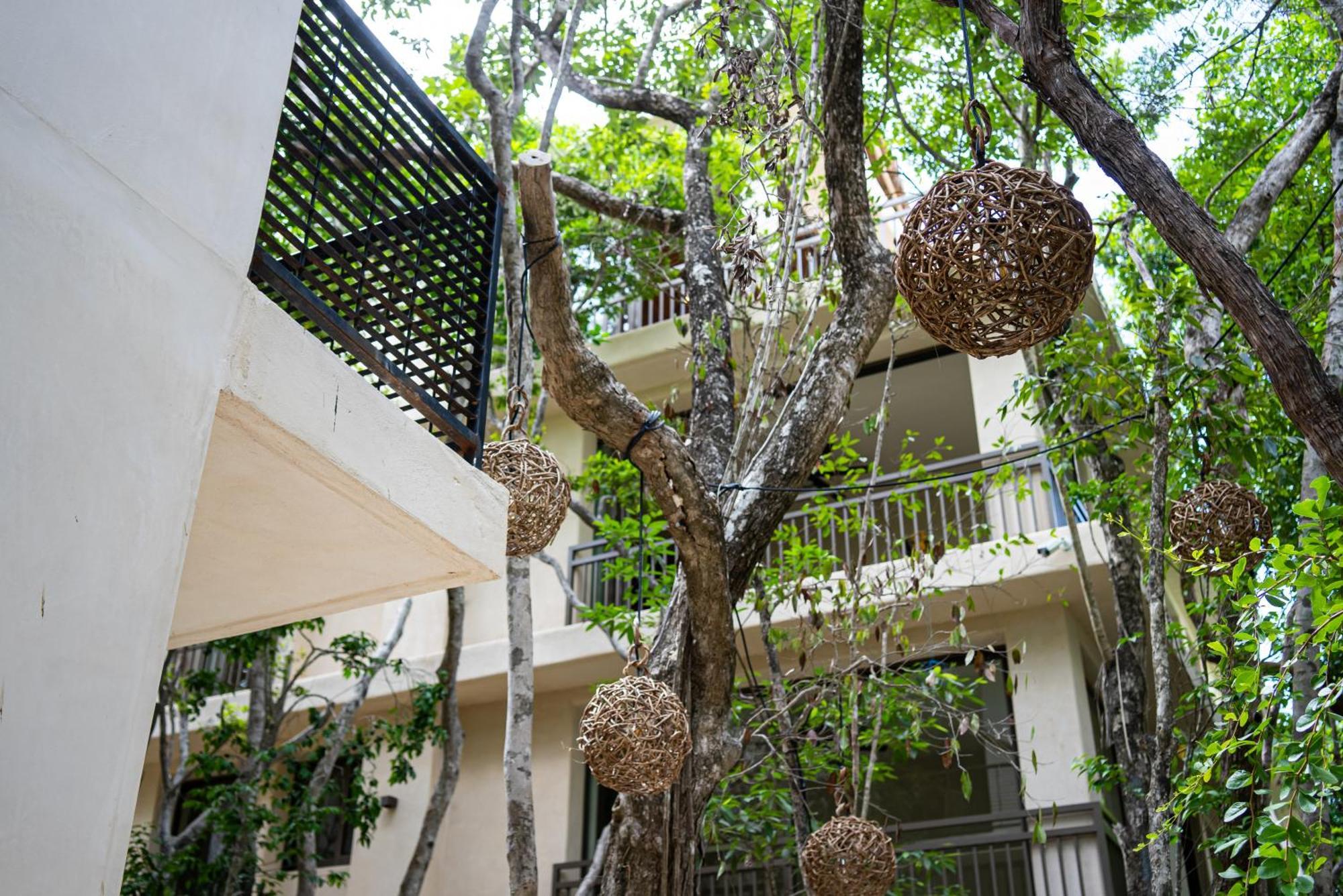 Aptos Chen Luum Appartement